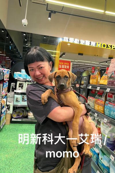 艾瑞