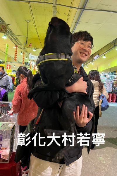 若寧