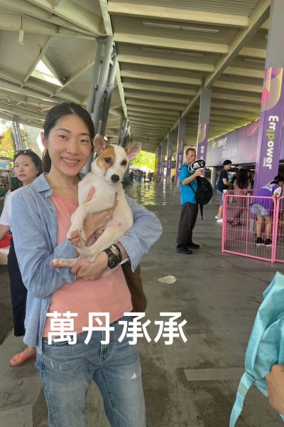 承承