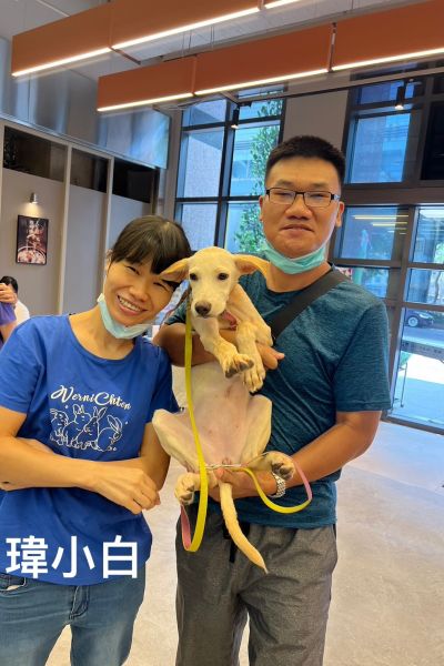 瑋小白