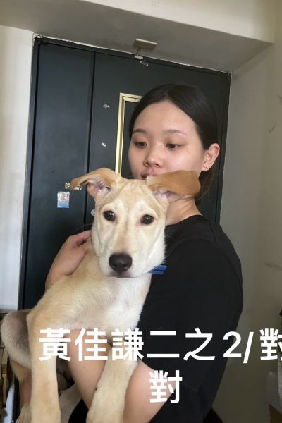 劉兌兌