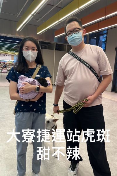 甜不辣
