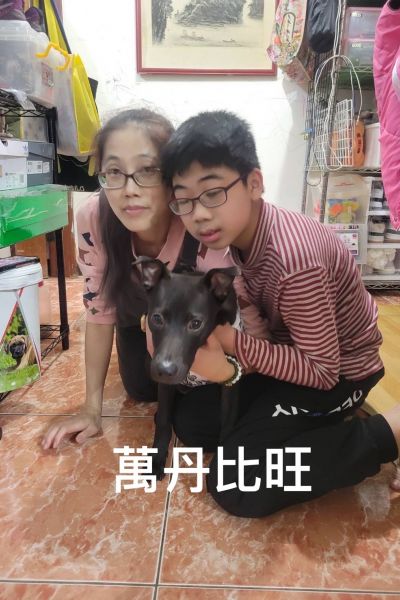 比旺