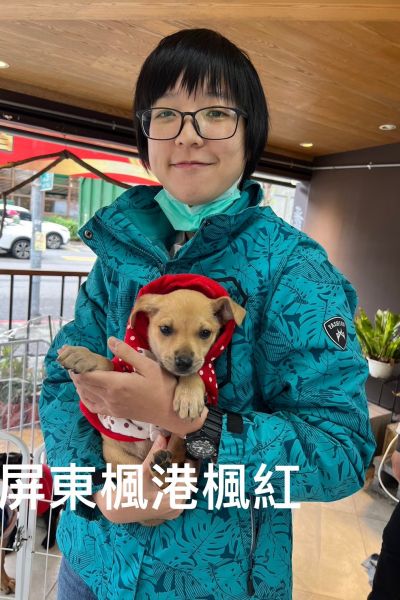 楓晴