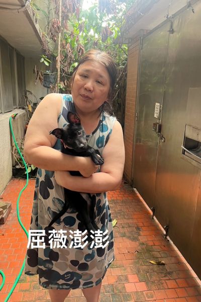 澎澎
