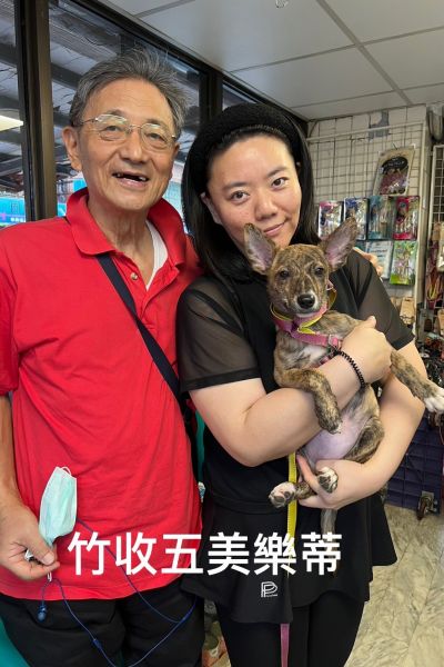 美樂蒂