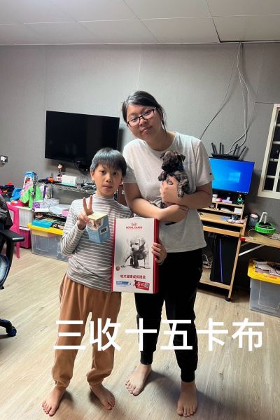 卡布