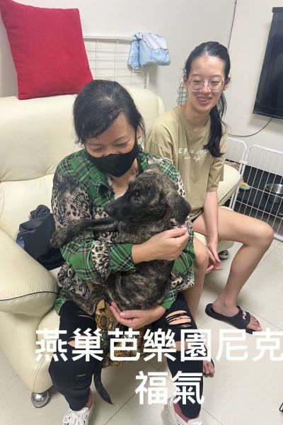尼克
