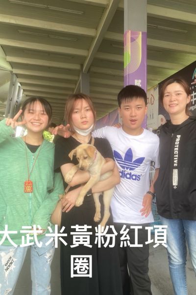 多比