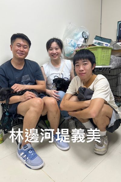 義美