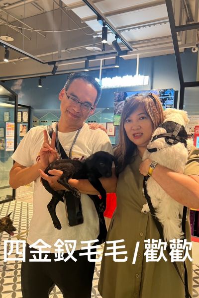 毛毛