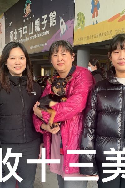 美心