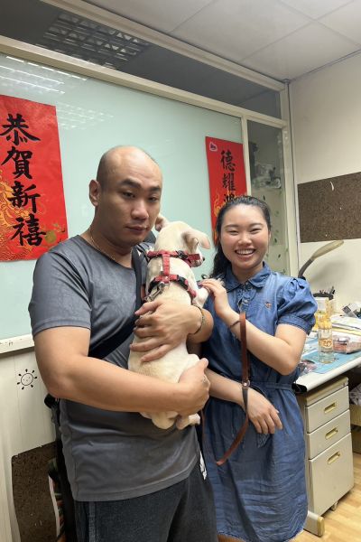 奶酪