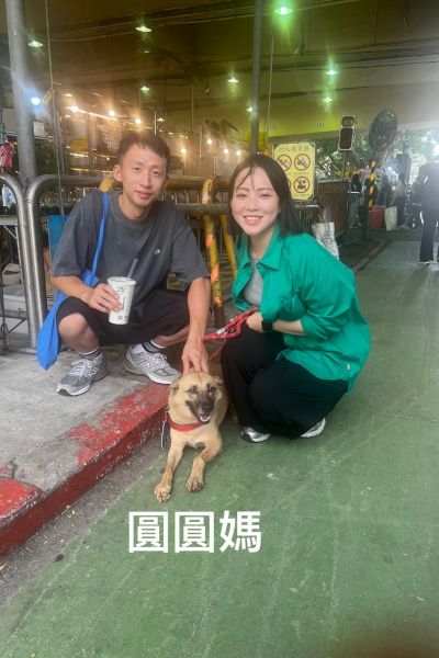 圓圓媽