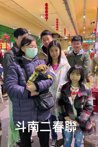 春聯