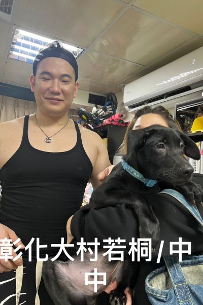 若桐