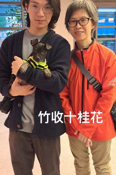 桂花