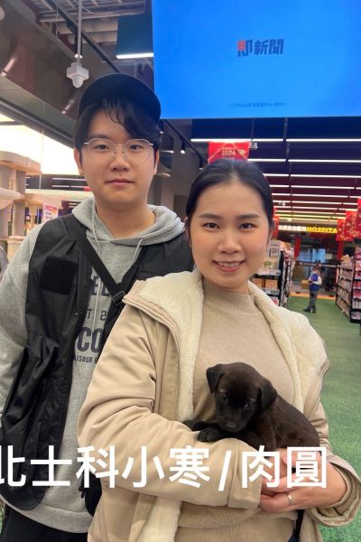 毛毛