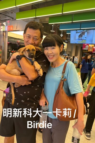 卡莉