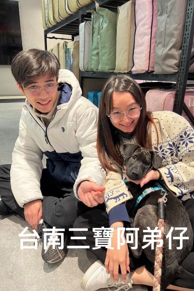 阿弟