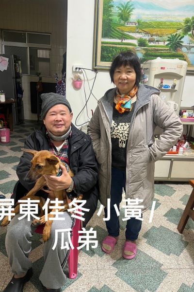 呱弟