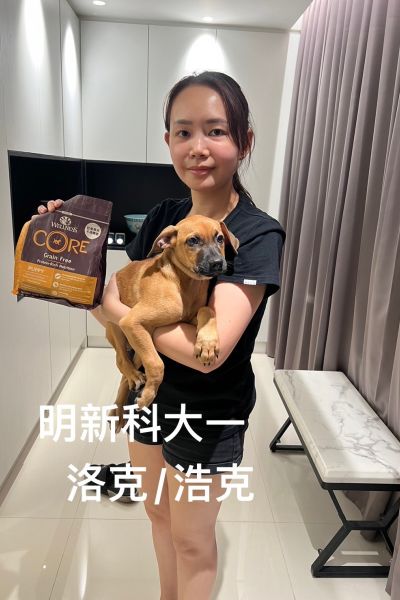 洛克