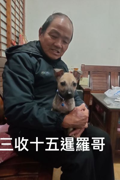 暹羅哥