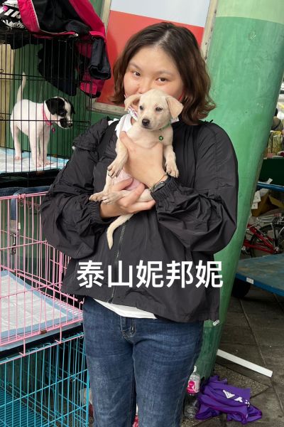 泰山妮邦妮