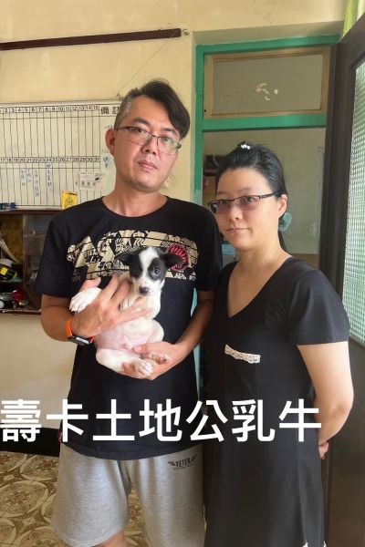 牛奶