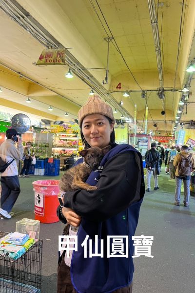 圓寶