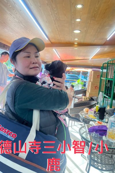小智