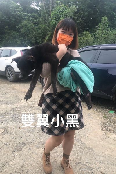 雙翼小黑
