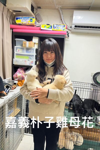 雞米花
