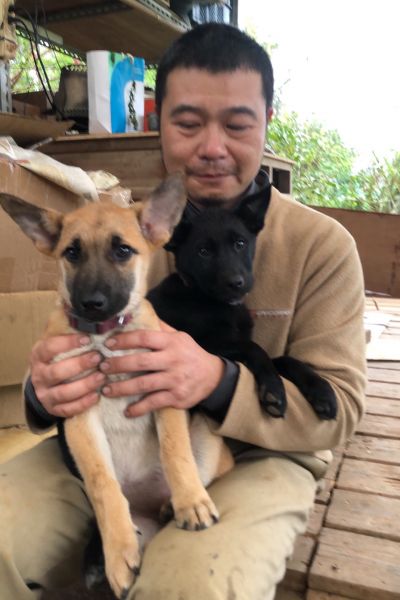 龍兒
