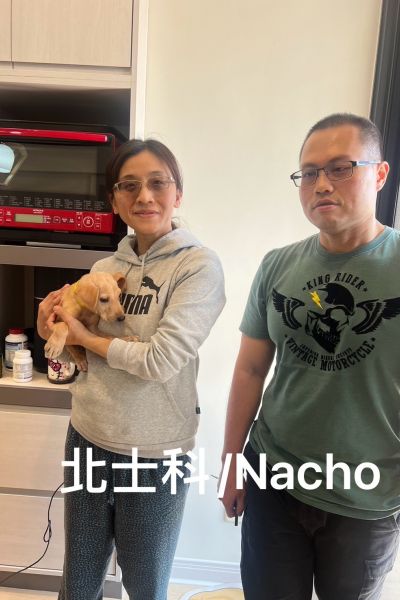 路馬