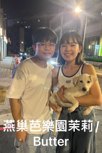 茉莉