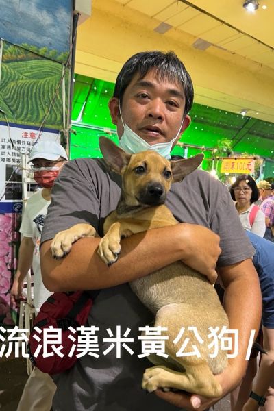 麻糬