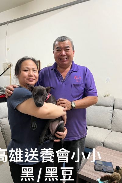 小小黑