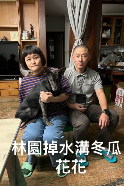 冬瓜