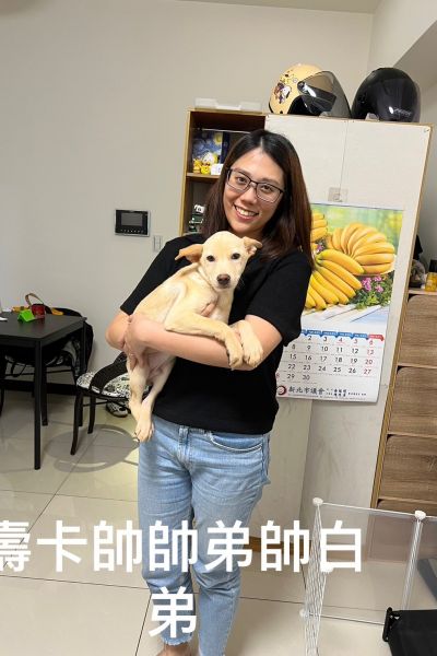 帥白弟