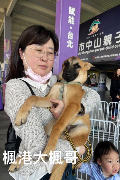 小楓哥