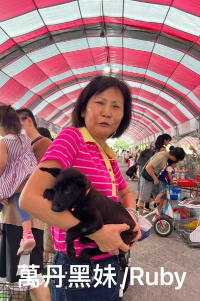 小黑妹