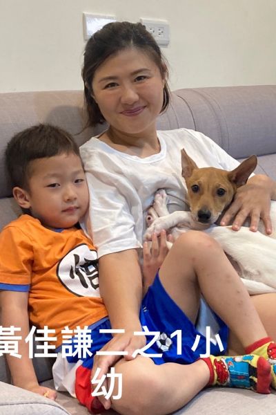 台中豪豪