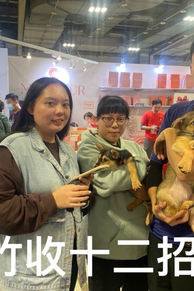 招寶