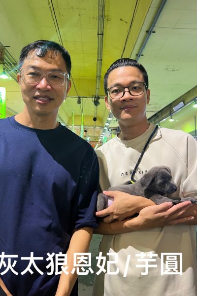 恩妃