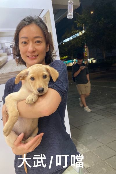 叮噹