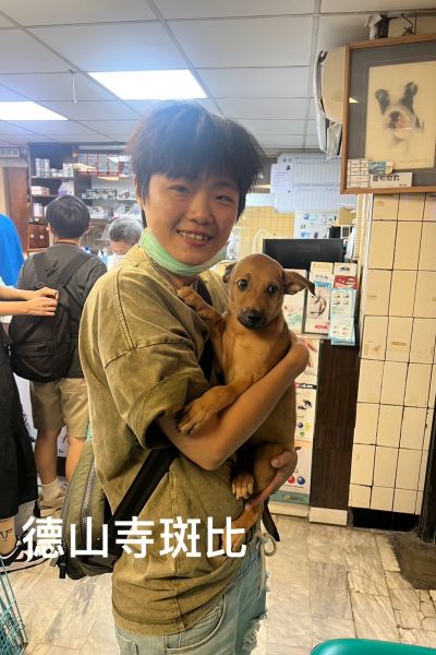 斑比