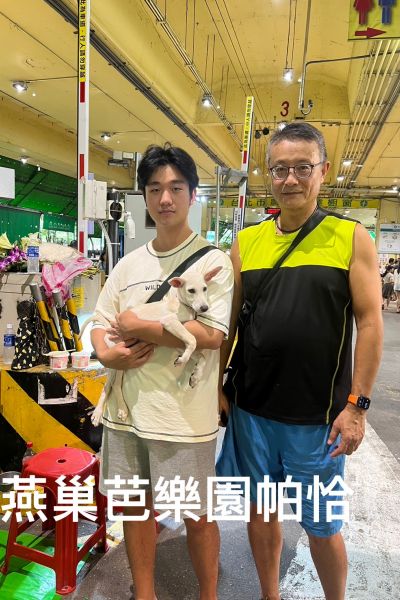 帕恰