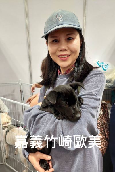 歐美