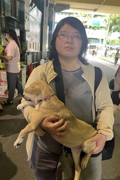 羊肉爐